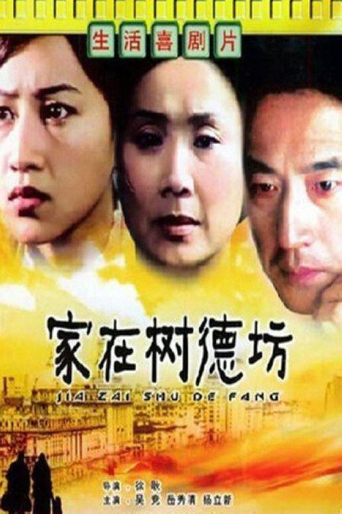 家在树德坊 封面