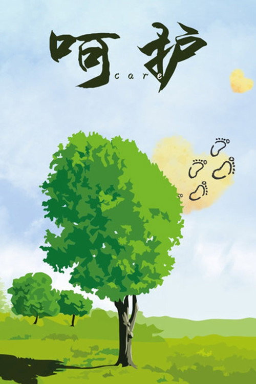 呵护 封面