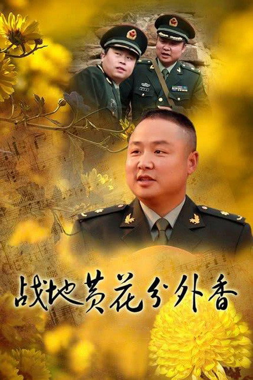 战地黄花分外香 封面