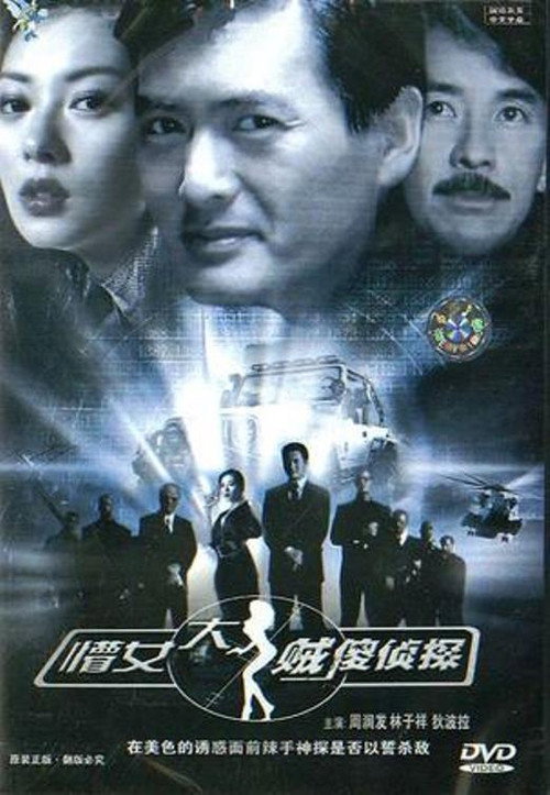 懵佬,大賊,傻偵探 封面