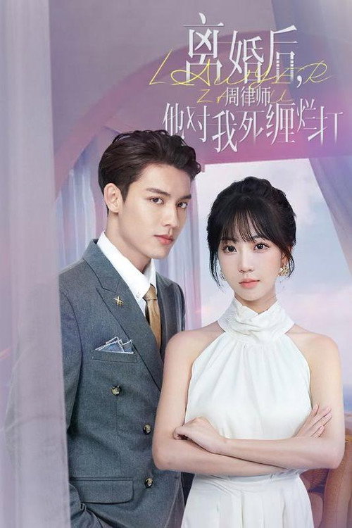 离婚后,周律师他对我死缠烂打 封面