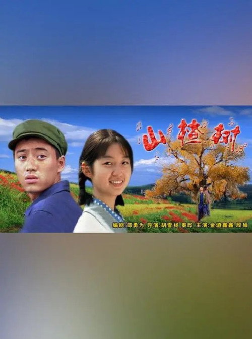 山楂树 封面
