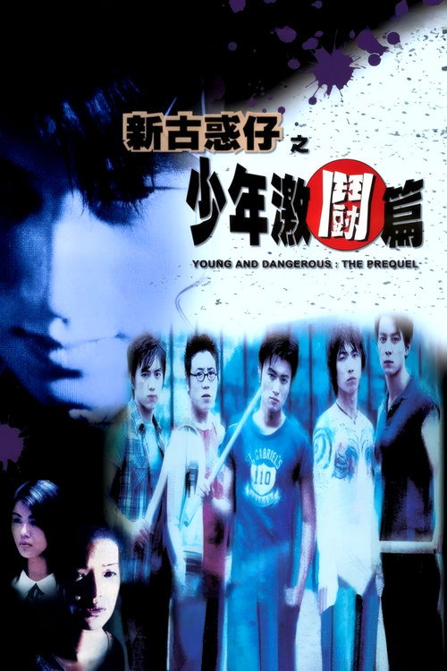 新古惑仔之少年激斗篇 封面