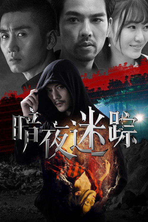 暗夜迷踪 封面