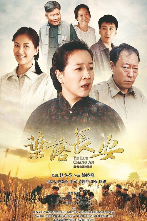 叶落长安 封面