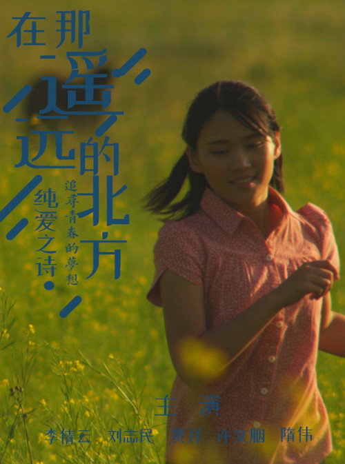 在那遥远的北方 封面