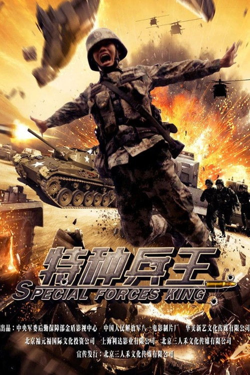特种兵王 封面
