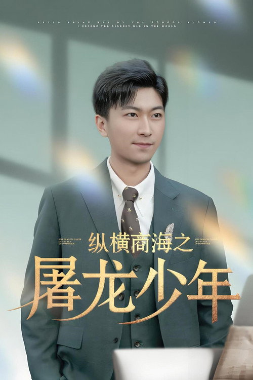 纵横商海之屠龙少年 封面