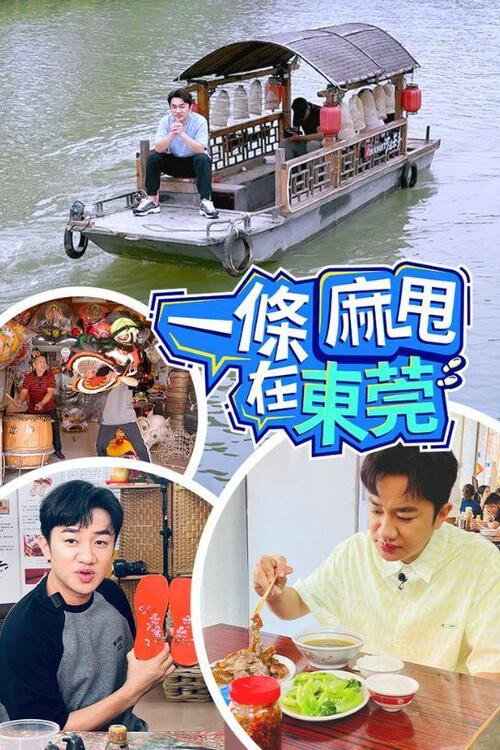 一条麻甩在东莞 封面