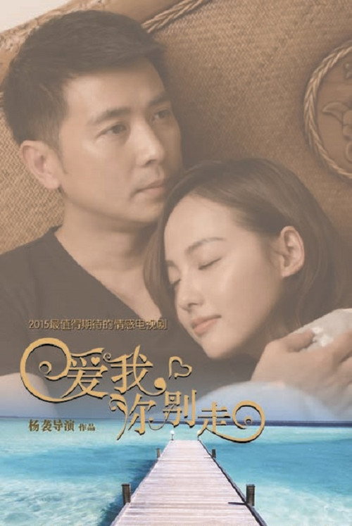 爱我,你别走 封面