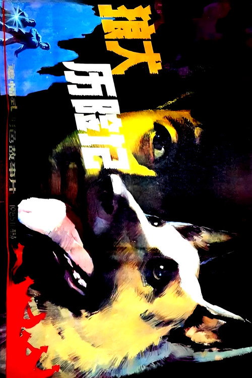 狼犬历险记 封面
