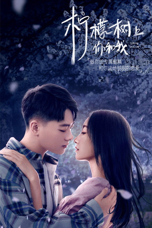 柠檬树上你和我 封面
