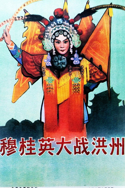 穆桂英大战洪州 封面