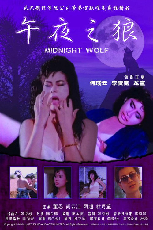 午夜之狼 封面