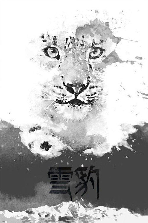 雪豹 封面