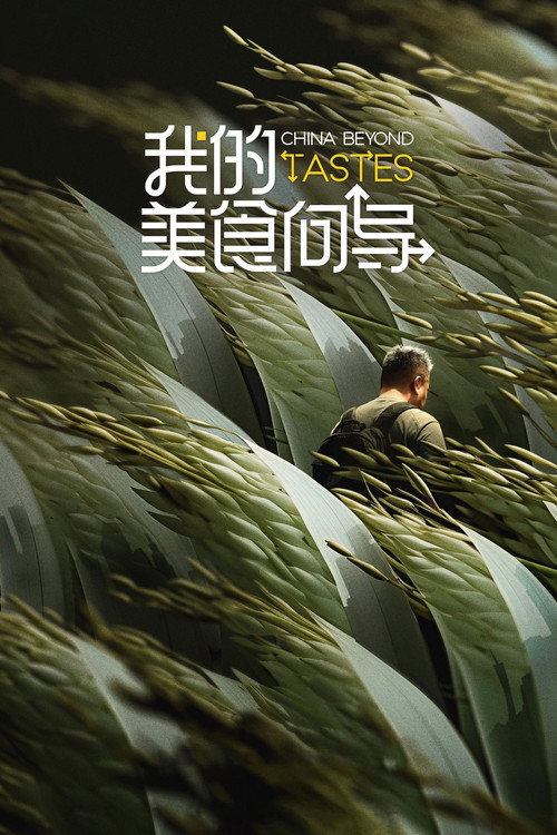 我的美食向导 封面