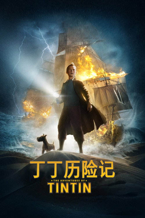 丁丁历险记 封面