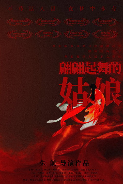 翩翩起舞的姑娘 封面
