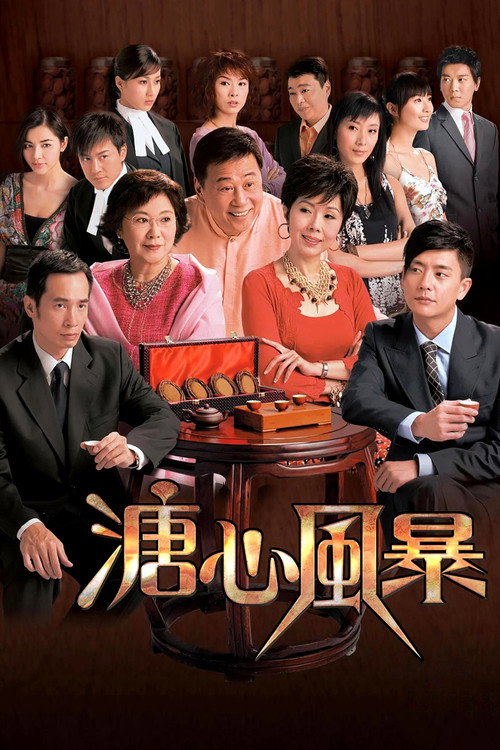 溏心风暴 封面