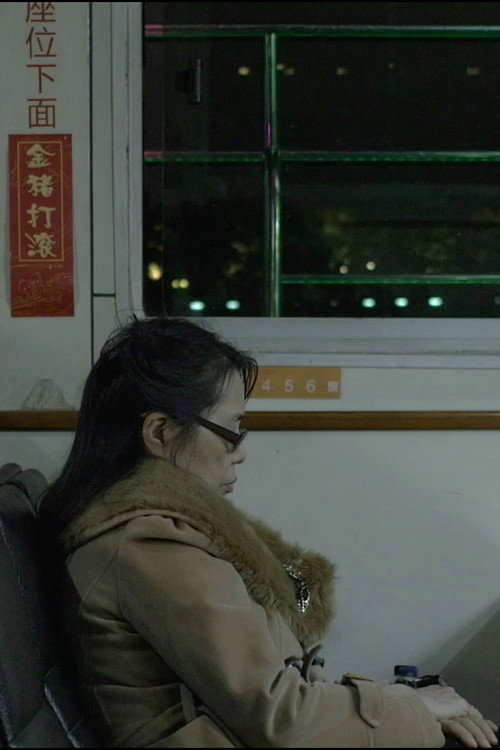 花泥 封面