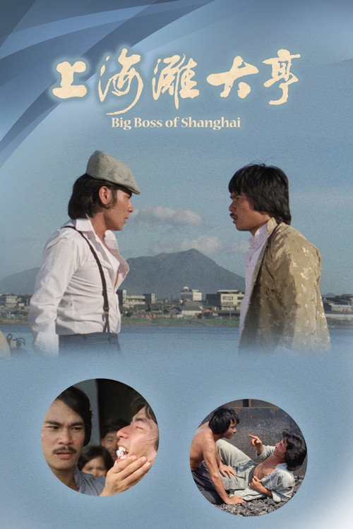 上海滩大亨 封面