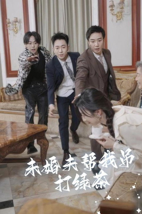 未婚夫帮我吊打绿茶 封面