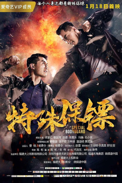 特殊保镖 封面