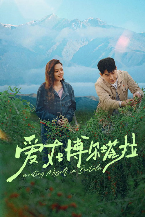 爱在博尔塔拉 封面