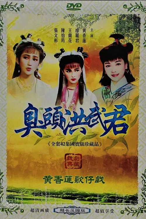 臭头洪武君 封面