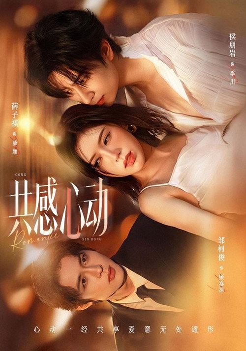 共感心动 封面