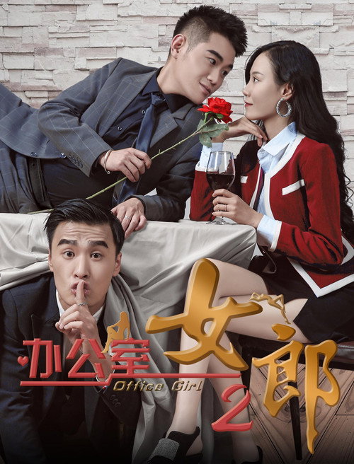 办公室女郎2 封面