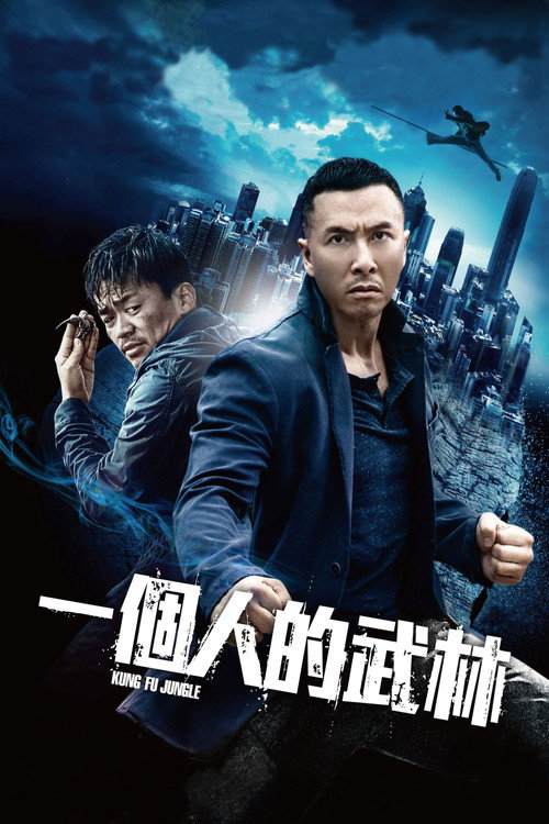 一个人的武林 封面