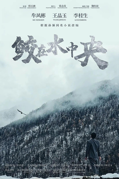 鲛在水中央 封面