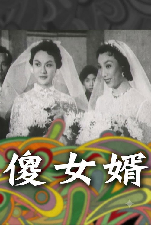 神經大姐戇姑爺 封面