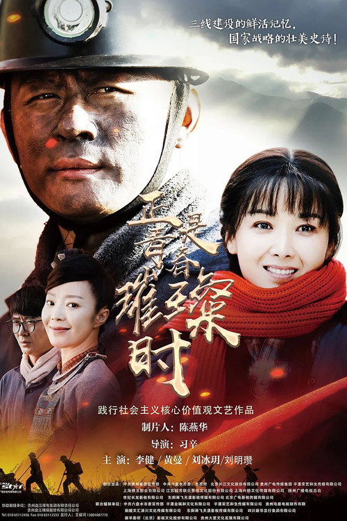 正是青春璀璨时 封面