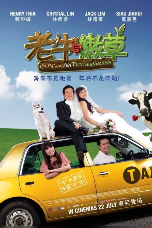 老牛与嫩草 封面
