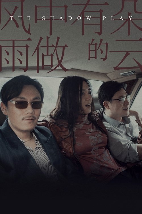 风中有朵雨做的云 封面