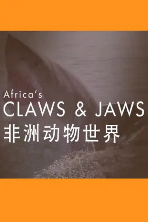 非洲动物世界 封面