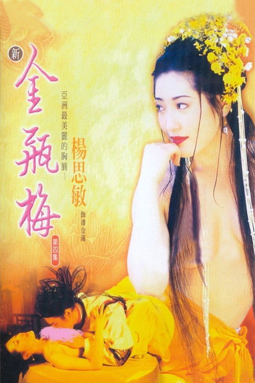 新金瓶梅4 封面