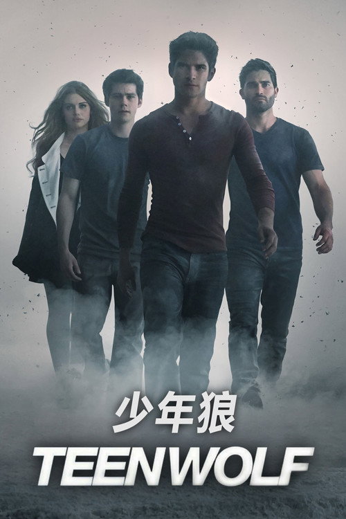 少狼 封面