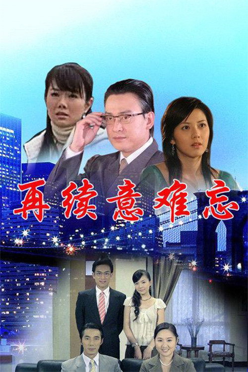 再续意难忘 央视版 封面