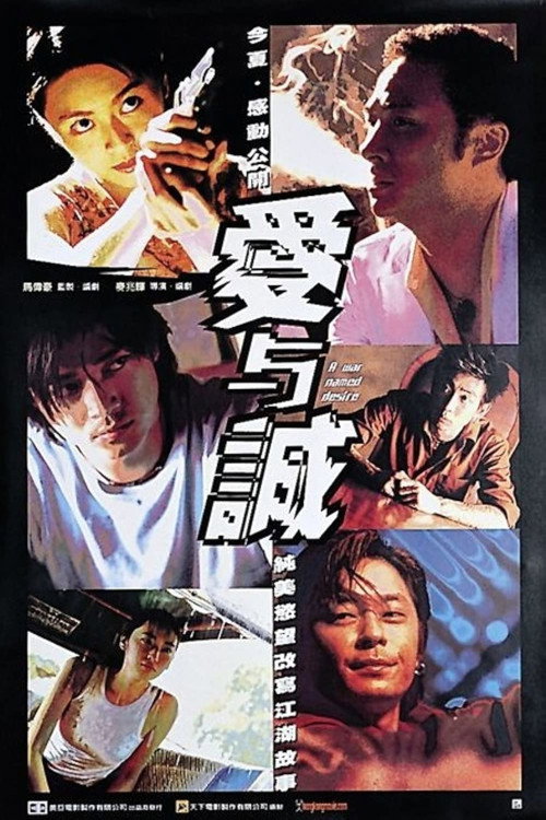 爱与诚 封面