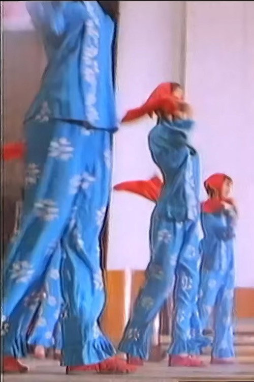 飞了ch 封面