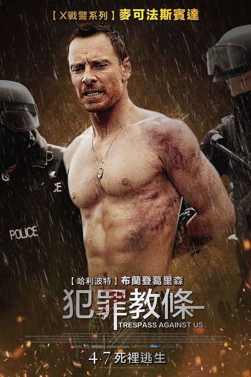 血浓于罪 封面