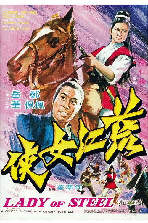 荒江女侠 封面