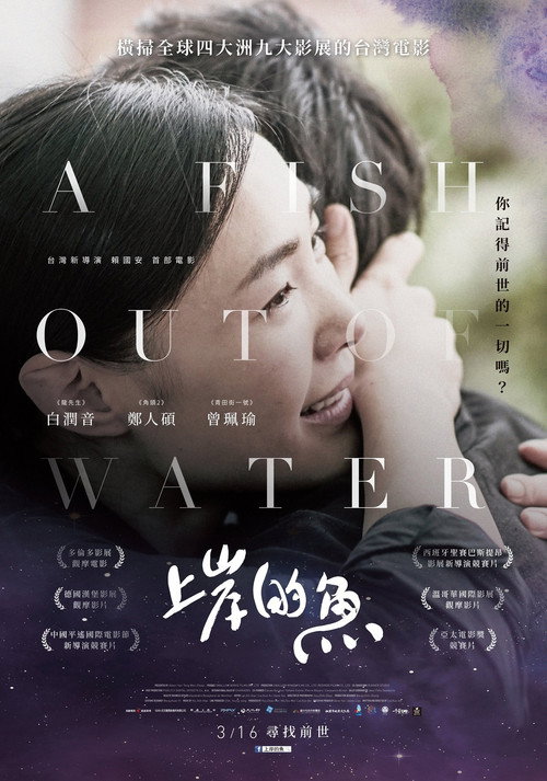 上岸的鱼 封面