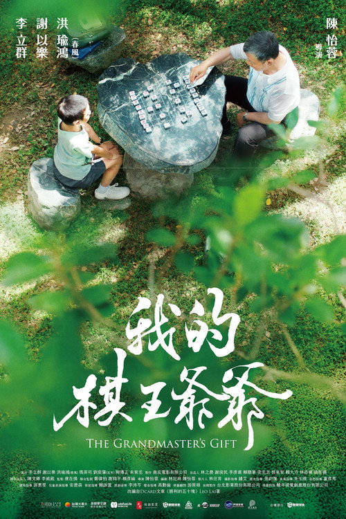 我的棋王爺爺 封面
