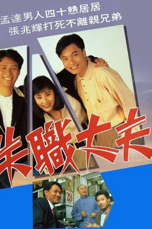 失职丈夫 封面