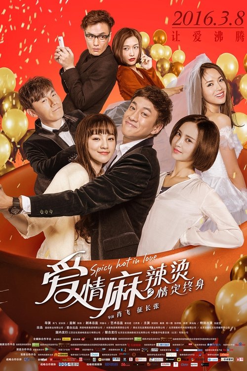 爱情麻辣烫之情定终身 封面