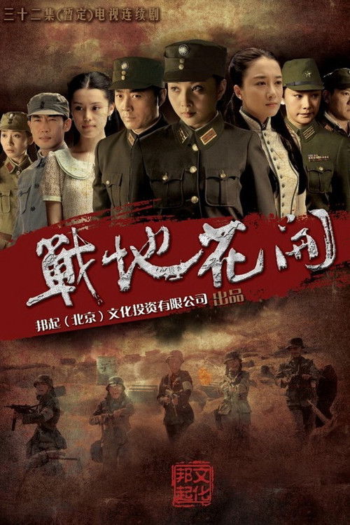 战地花开 封面